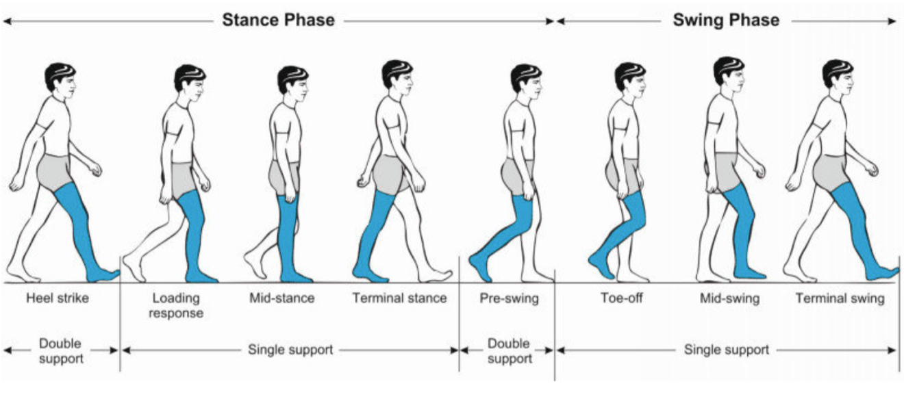 Slip, Trips and Falls 