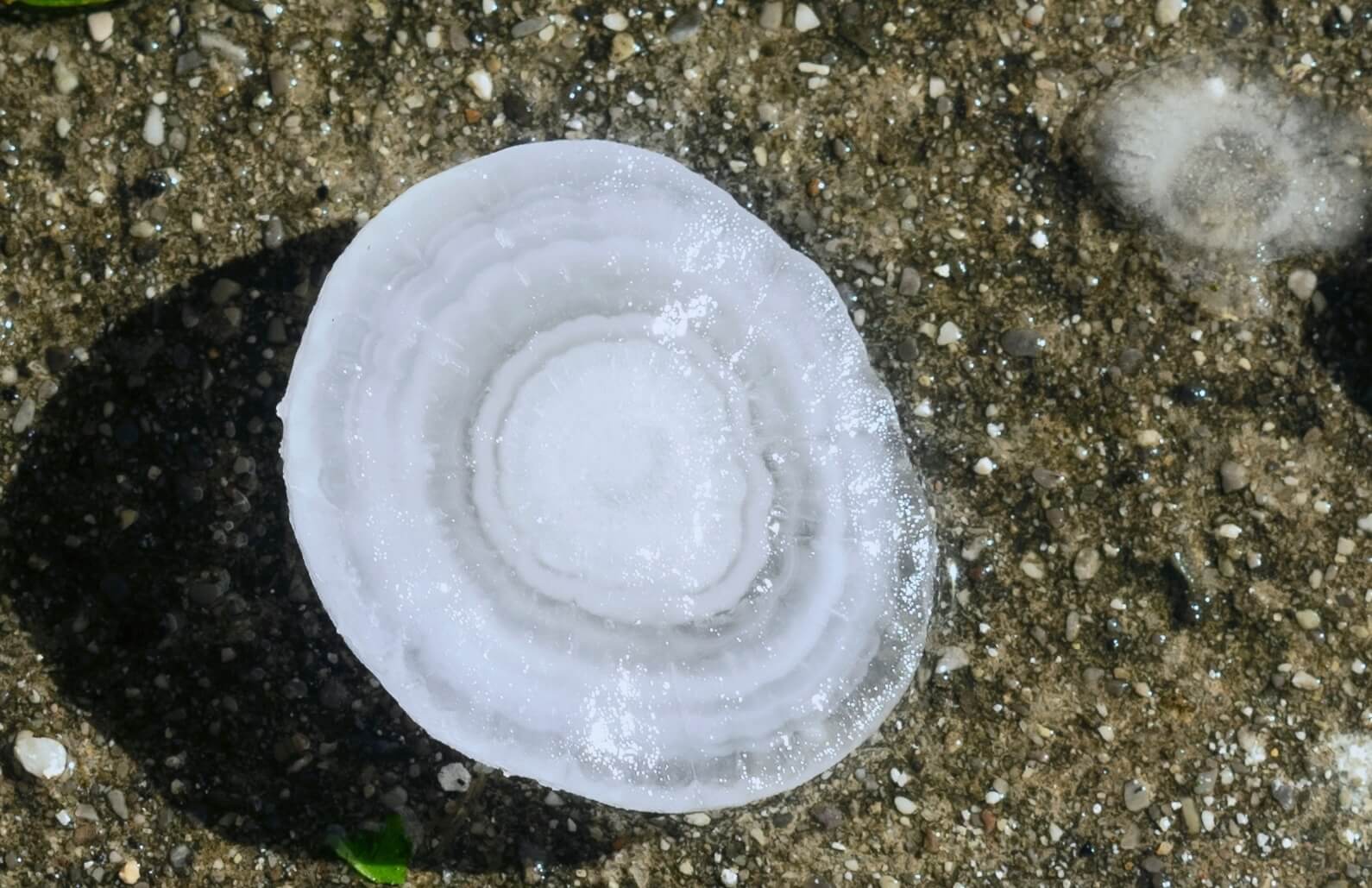 Hailstone with layers Hail damage_Hailstone with layers