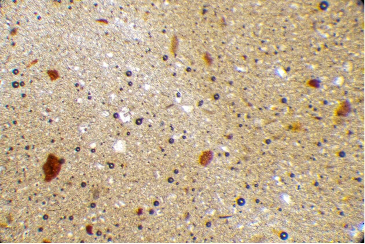 Surface of a brick veneer (not hail damaged)