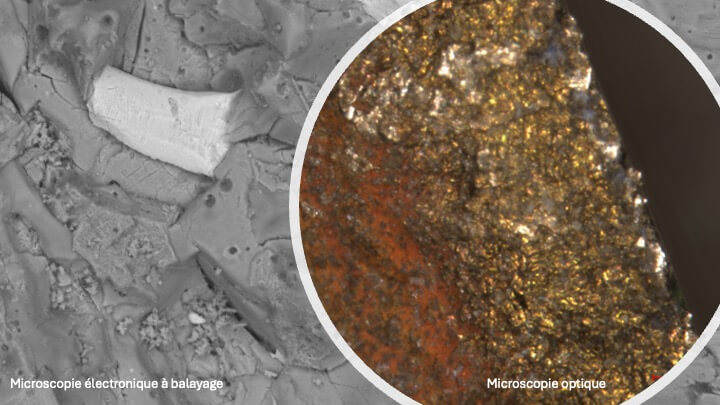 Figure microscopie