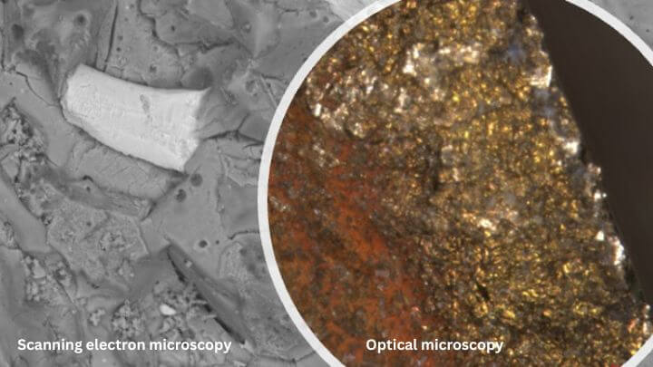 Scanning electron microscopy